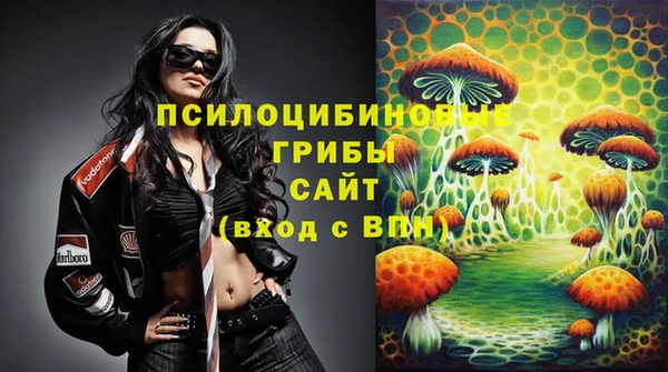 МДМА Горняк
