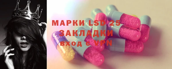 стаф Вязники