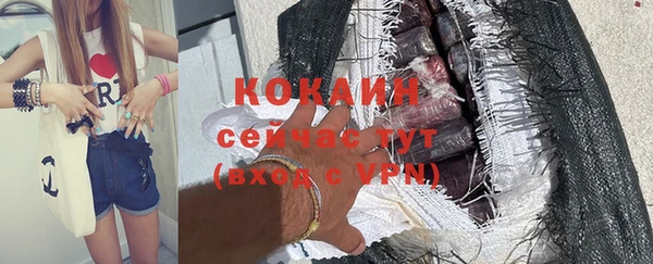 стаф Вязники
