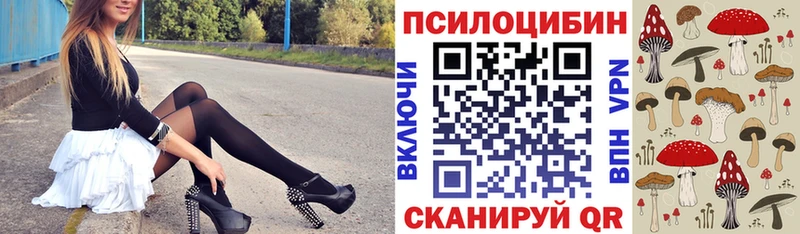 дарк нет наркотические препараты  MEGA рабочий сайт  Дальнегорск  купить   Галлюциногенные грибы Cubensis 